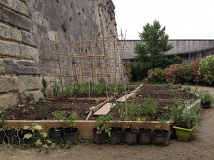 photo du jardin solidaire de Vauban