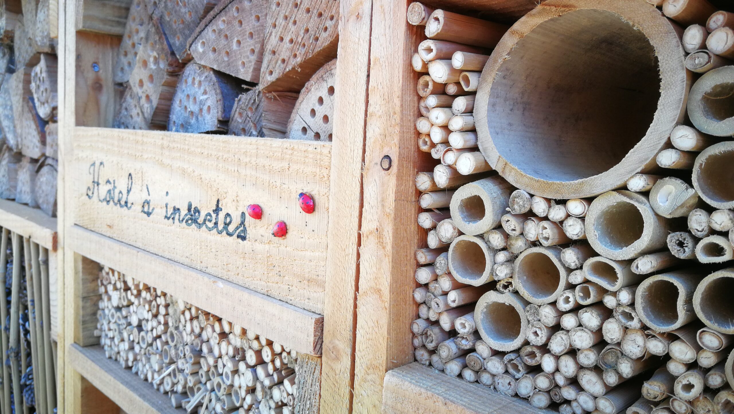 Hôtel à insectes dans les douves