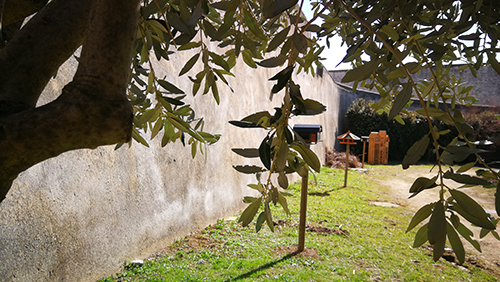 Photo du parcours biodiversité